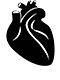 Cardiology icon